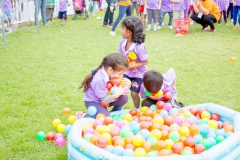 sportsday2018-0110